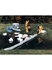Immagine di ASO003